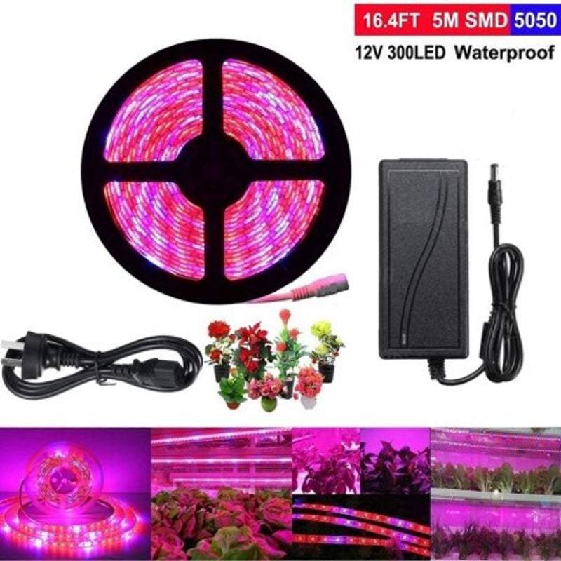 Plant Light Strip 5M 5050 Waterproof Full-spectrum Hydroponic Plants And Flowers